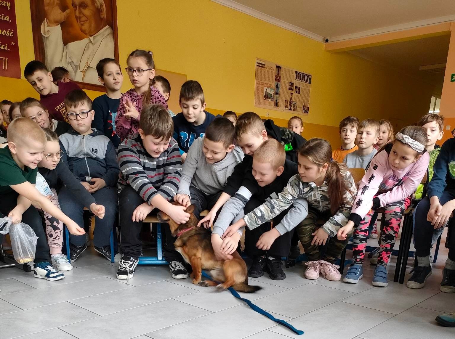 Obojętnego na niedolę zwierząt i ludzka niedola nie wzrusza... - Obrazek 2