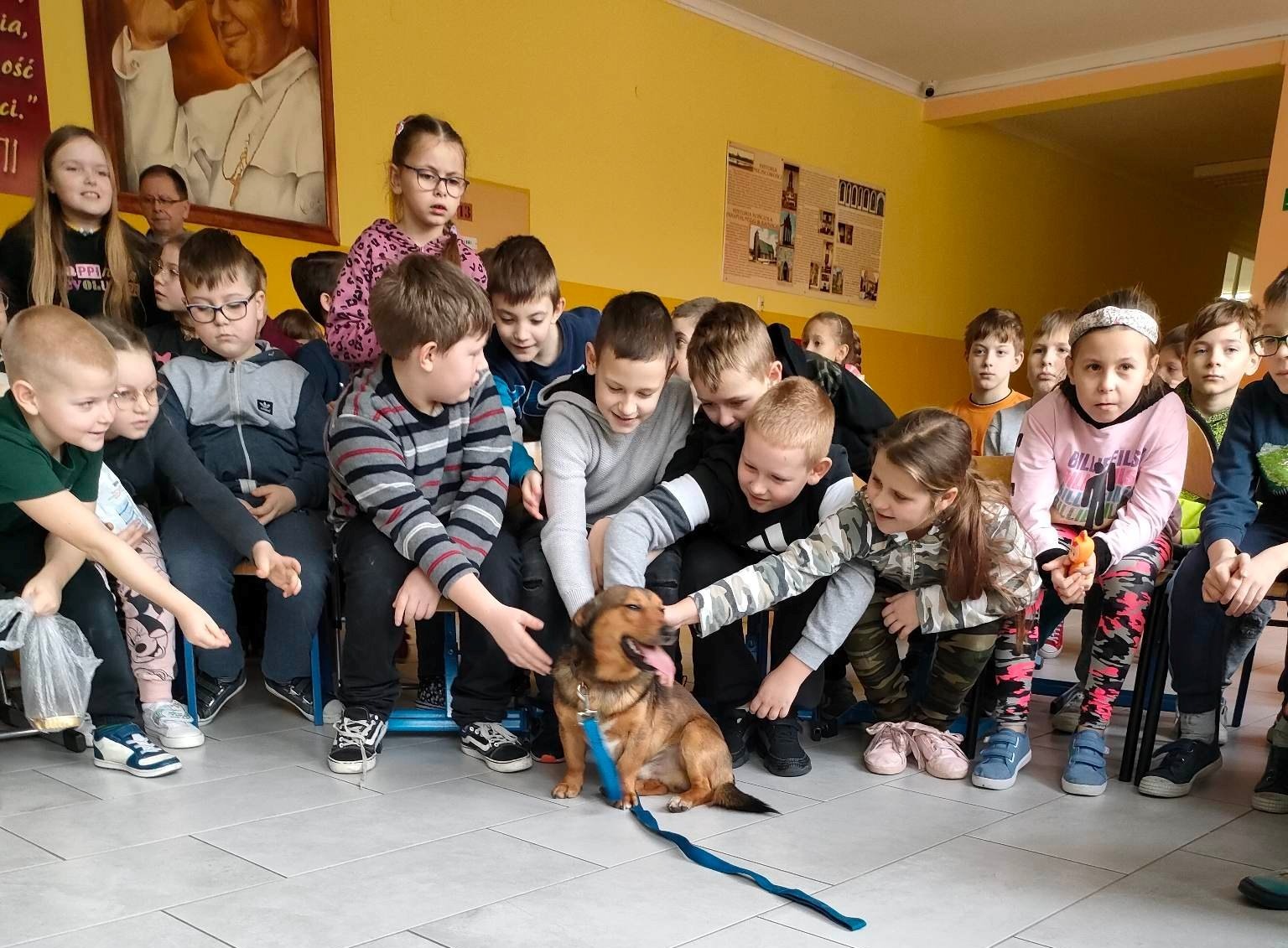 Obojętnego na niedolę zwierząt i ludzka niedola nie wzrusza... - Obrazek 3