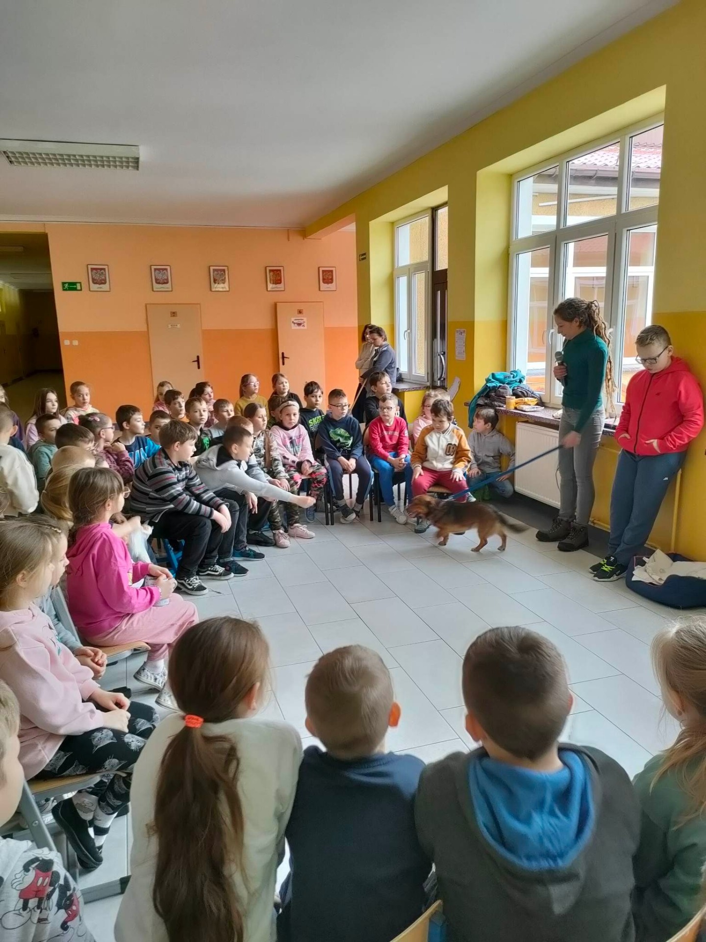 Obojętnego na niedolę zwierząt i ludzka niedola nie wzrusza... - Obrazek 6