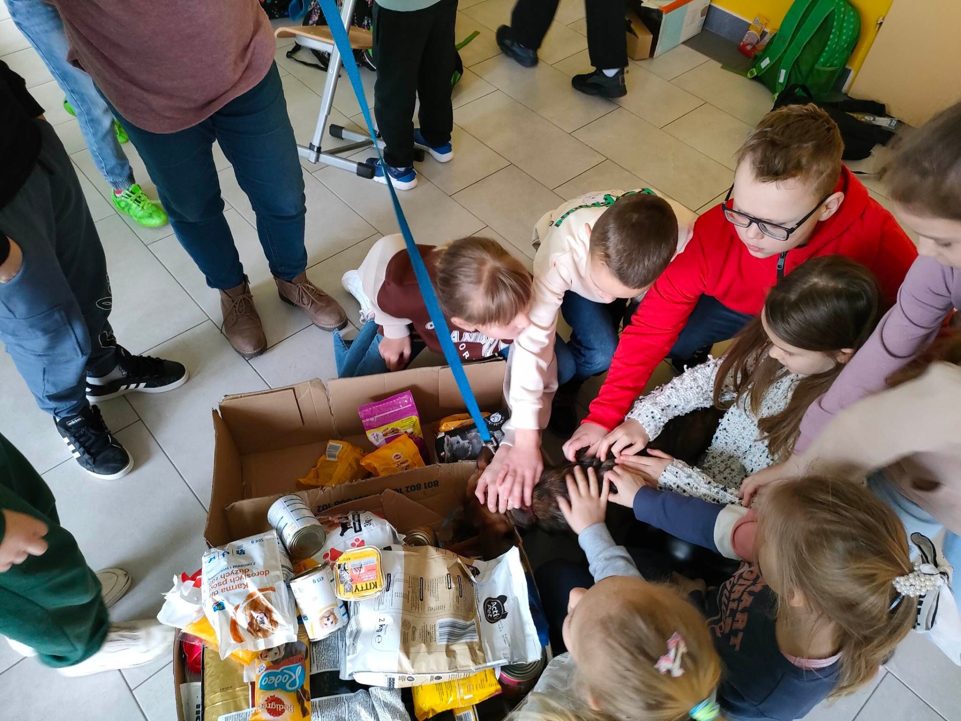 Obojętnego na niedolę zwierząt i ludzka niedola nie wzrusza... - Obrazek 4