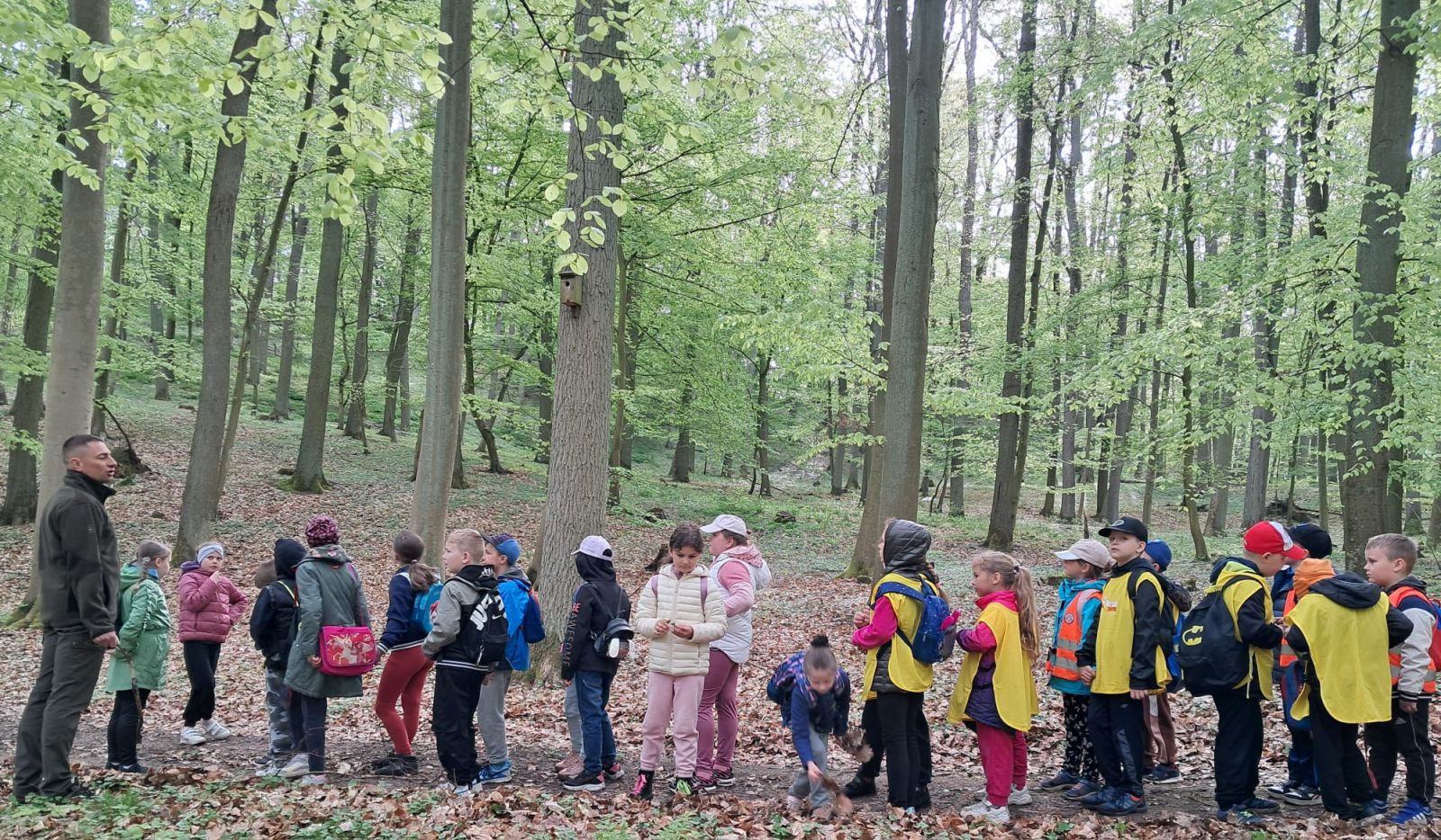 Zdjęcie: Lekcja przyrody w lesie
