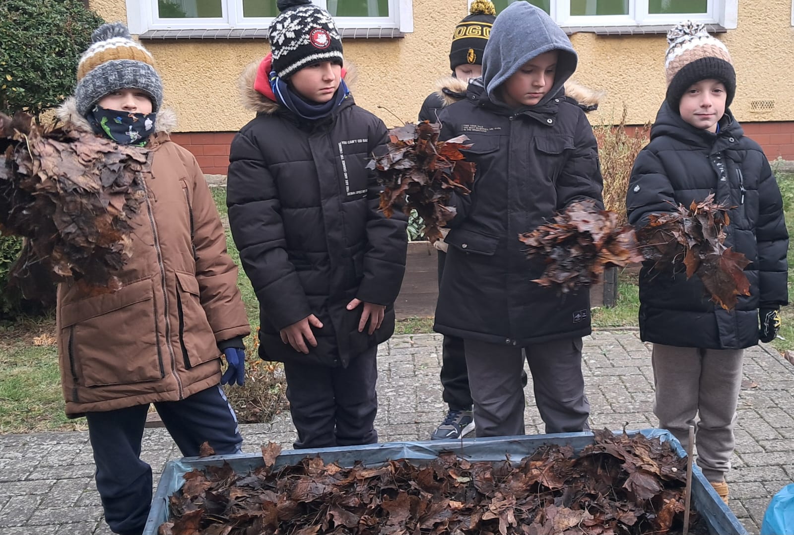 Zdjęcie: Historia krótka pewnego ogródka